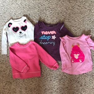 Lot of 4 Long sleeve toddler girl shirts